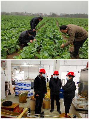 科技助農穩生產，服務下鄉促春耕——市農技推廣中心積極開展春耕備耕指導工作